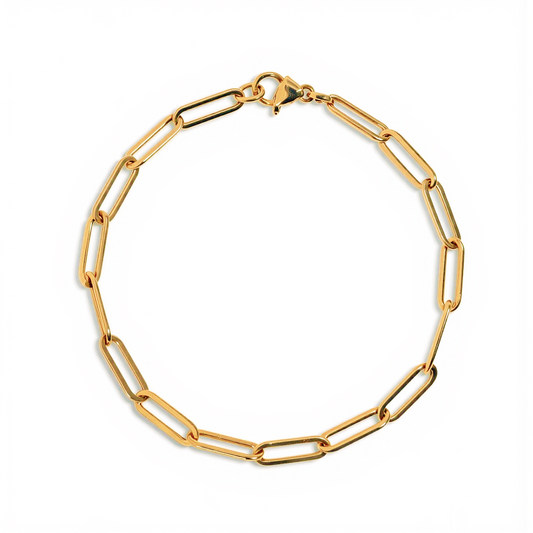 Osiris Paperclip Chain Bracelet